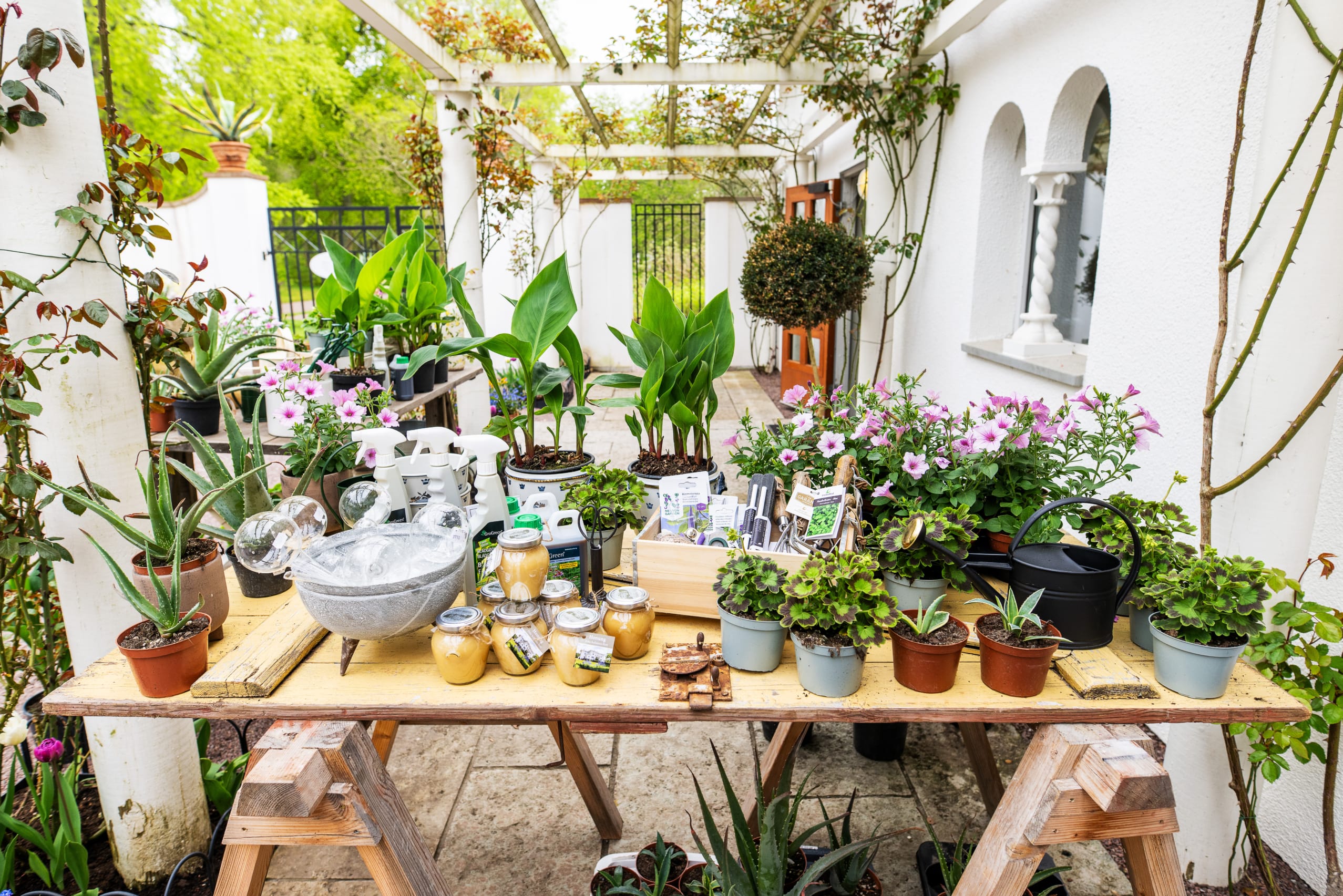 Slottsbutik & Handelsbod