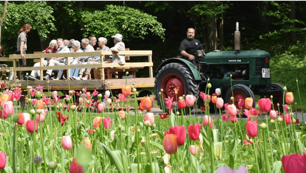 Solliden Spirar – Säsongsöppning 2026